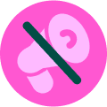 Icono veda
